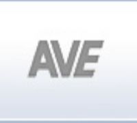 AVEɹϸ׼